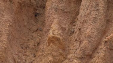 Kırmızı kilden bir yamaçta derin bir vadide toplandık. Yüksek kalite 4k görüntü