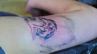 Dövme sanatçısı elleri beyaz bir erkeğin omzuna dövme yapıyor. Yüksek kalite 4k görüntü