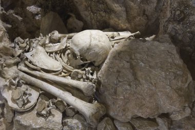 human bones inside an ancient underground burial. High quality photo