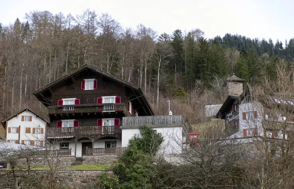 Vaduz, LIECHTENSTEIN - 3 Ocak 2023: Sıcak güneşli yaz gününde bulutlu mavi gökyüzü ile küçük Avrupa başkentinin muhteşem şehir manzaraları. Yüksek kalite fotoğraf