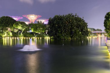 Singapur - 25 Ağustos 2024: Supertree Grove, Aslan Şehri 'nin güzelliğini görmek isteyen her gezgin için ziyaret edilmesi gereken bir yerdir. Yüksek kalite fotoğraf