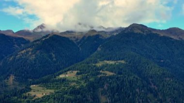 Val di Sole, Trentino 'daki Malghe: muhteşem peynirler ve pişirilmiş etler için inek yetiştirir. Yüksek kaliteli FullHD görüntüler