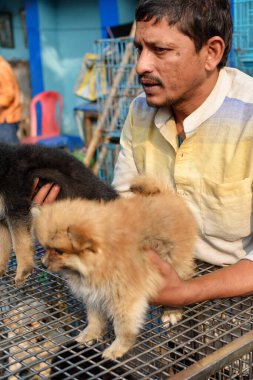 Kimliği belirlenemeyen Hintli bir köpek yetiştiricisi Galiff Sokağı hayvan pazarında köpek yavruları satıyor, Kolkata, Batı Bengal, Hindistan, 2021