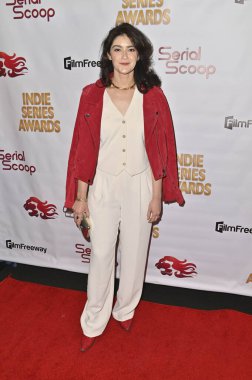 Burbank, CA USA - 15 Mayıs 2023: Allie Leonard 14. Bağımsızlık Serisi Ödüllerine katıldı.