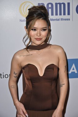 Beverly Hills, CA USA - 8 Mayıs 2025: Lisa Yamada 2025 NAMI Akıl Sağlığı Galasına katıldı