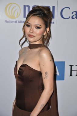 Beverly Hills, CA USA - 8 Mayıs 2025: Lisa Yamada 2025 NAMI Akıl Sağlığı Galasına katıldı