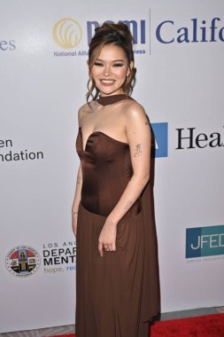 Beverly Hills, CA USA - 8 Mayıs 2025: Lisa Yamada 2025 NAMI Akıl Sağlığı Galasına katıldı