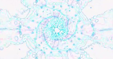 Bu canlı tünel görsel özellikleri karmaşık desenler ve parlak renklerle dolu kusursuz bir döngü dizaynı, dijital ekranları geliştirmek ve çekici bir ekran koruyucu deneyim yaratmak için mükemmel.