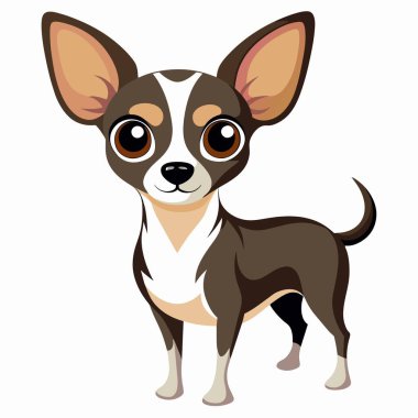 Yavru renkli bir Chihuahua, kendine özgü kulakları ve burnu olan küçük bir köpek yavrusu, beyaz bir arka planda karada yaşayan etobur bir hayvan olarak duruyor.