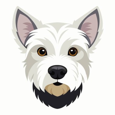 Beyaz önlüklü, kahverengi gözlü ve sakallı Canidae ailesinden bir köpek kamerayla doğrudan göz teması kuruyor. Bu yoldaş köpek kendine özgü burnu ve kulakları olan bir etoburdur.