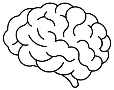 Beyaz bir zemin üzerinde insan beyni tasvir eden siyah beyaz bir çizim.