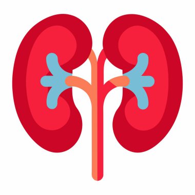 Görüntü, beyaz bir arka planda gösterilen iki böbreğin çizgi film gösterimini gösteriyor.