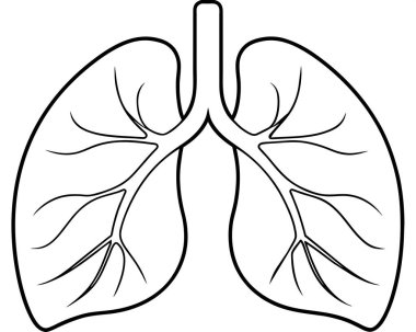 Resimde siyah beyaz çizim tarzında bir çift akciğer resmediliyor.