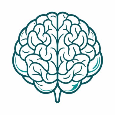 Görüntü, bembeyaz bir zemin üzerinde insan beyninin detaylı bir çizimini gösteriyor.