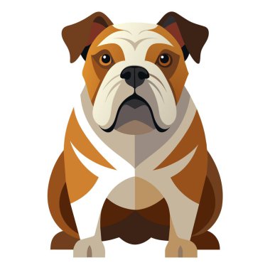 Bir yavru geyik ve beyaz Bulldog, etobur bir köpek türü, beyaz bir arka planda dikiliyor, dikkatlice kameraya bakıyor. Buruşuk burunlu bu karasal hayvan çok sevilen bir köpek.