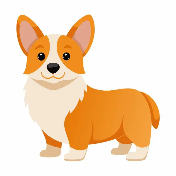 Kısa bacakları ve büyük kulakları olan sevimli bir Corgi çizgi filmi evcil tasarım ve projeler için idealdir.