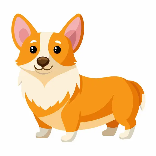 Kısa bacakları ve büyük kulakları olan sevimli bir Corgi çizgi filmi evcil tasarım ve projeler için idealdir.