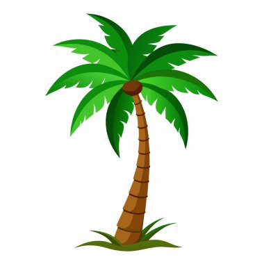 Tropik plajları, yazı ve tatilleri sembolize eden yüksek kaliteli bir palmiye ağacı çizimi.