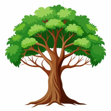 Kalın bir gölgeliği ve güçlü gövdesi olan, doğayı ve büyümeyi simgeleyen büyük yeşil bir ağaç tasviri..