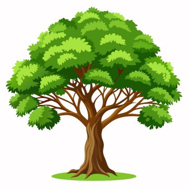 Beyaz arka planda geniş bir gölgelik ve kahverengi gövdesi olan yemyeşil bir ağacın canlı çizimi.