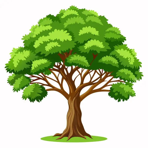 Beyaz arka planda geniş bir gölgelik ve kahverengi gövdesi olan yemyeşil bir ağacın canlı çizimi.