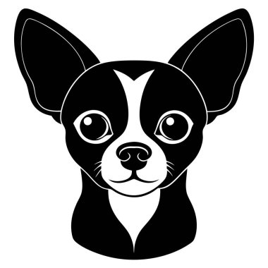 Bir Chihuahua başlığının profilini gösteren siyah beyaz bir görüntü.