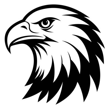 Siyah beyaz bir zemine karşı baş ve beyaz kartalların çizimi gaga, tüy ve görkemli duruş gibi etkileyici özelliklerinin detaylarını gözler önüne seriyor.