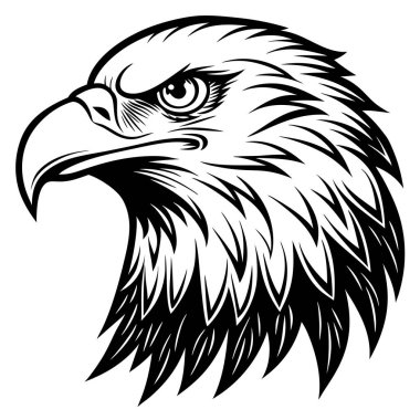 Kel bir kartalın kafasının yer aldığı detaylı bir siyah beyaz çizim güçlü özelliklerini ve görkemli varlığını gözler önüne seriyor.