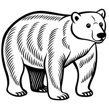 Beyaz arka planda bir kutup ayısının siyah beyaz çizimi, karada yaşayan etobur bir hayvanın karikatürünü andırıyor, fil ya da mamut gibi.