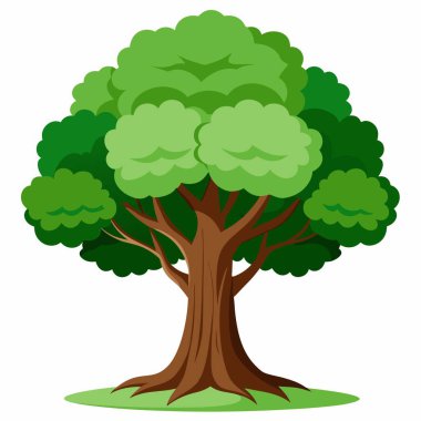 Bitkiler, ağaçlar, yapraklar, botanik, dallar ve organizmalar gibi kavramları temsil eden, sade beyaz arka planda yeşil yaprakları olan bir ağacın karikatür çizimi.