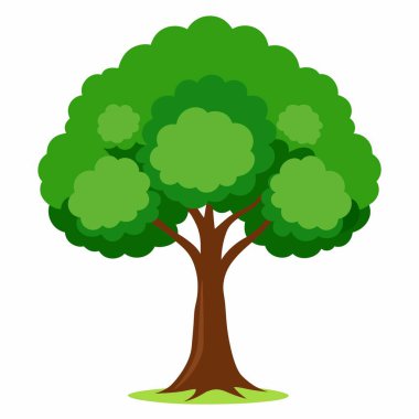 Yeşil yapraklı bir ağaç ve beyaz arka planda kahverengi bir gövde doğayı ve bitkileri simgeliyor.