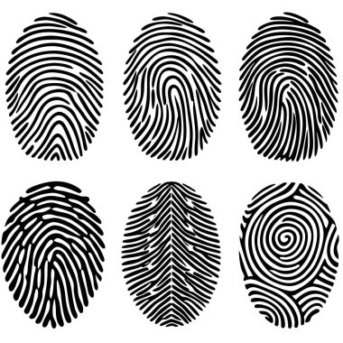 Beyaz bir arkaplanda gösterilen altı farklı parmak izinden oluşan bir koleksiyon.