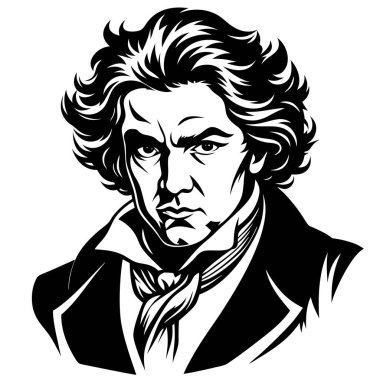 Resimde Beethoven siyah-beyaz, alnında, saçında, kafasında, çenesinde, saç stilinde, kaşında, kolunda, gözünde, yüz ifadesinde ve omurgasında yer alıyor.