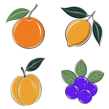 Resimde portakal, limon, erik ve yabanmersini de dahil olmak üzere dört farklı meyve gösteriliyor. Meyvelerin hepsi biçimlendirilmiş, karikatürsel bir şekilde çizilmiş, her birinin kendine has bir şekli var.