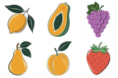 Limon, şeftali, çilek, armut, üzüm ve papaya da dahil olmak üzere bir dizi meyve çizimi.