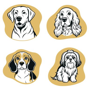 Arka arkaya dört farklı köpek türü gösteriliyor, her birinin farklı bir ifadesi var. İlk köpeğin mutlu bir ifadesi var, ikincisinin ise hüzünlü bir ifadesi.