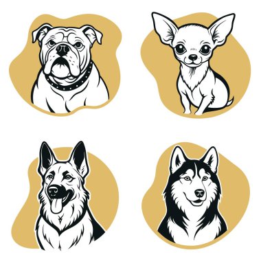 Farklı cins ve boyutlarda dört köpek. Köpekler farklı pozisyonlarda oturuyorlar ve farklı ifadeleri var.