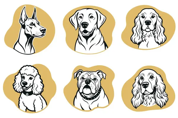 Türleri farklı olan bir köpek çizimi seti. Köpekler tamamen siyah ve beyaz. Resimler farklı boyutlarda ve stillerde, ama hepsi aynı köpek temasına sahip.