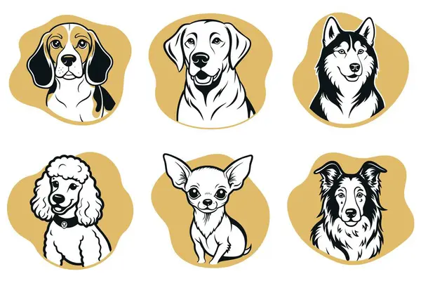 Kanişler, chihuahualar ve collie 'ler gibi çeşitli cinslerin yer aldığı bir köpek çizimleri koleksiyonu. Her köpeğin kendine has bir görünüşü ve ifadesi var. Köpek türlerinin çeşitliliğini gösteriyor.