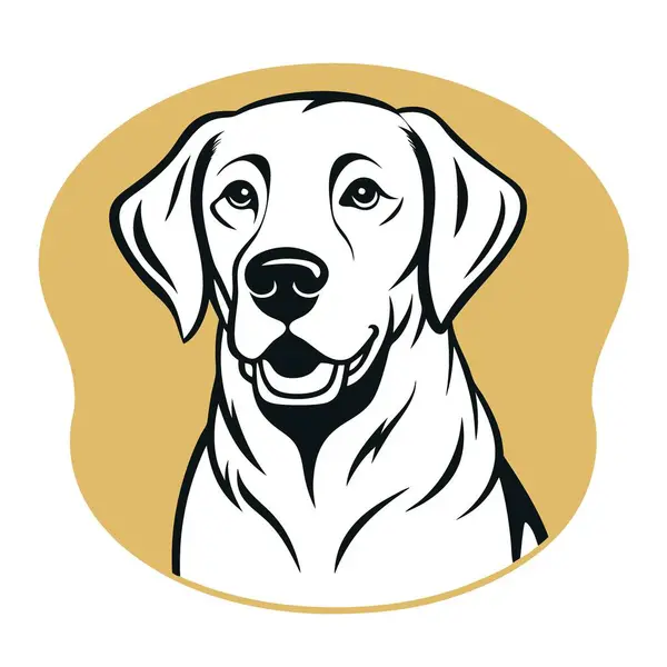 Gülümseyen yüzlü bir köpek altın ve beyaz renk düzeninde gösterilir. Köpek kameraya bakıyor ve çok mutlu.