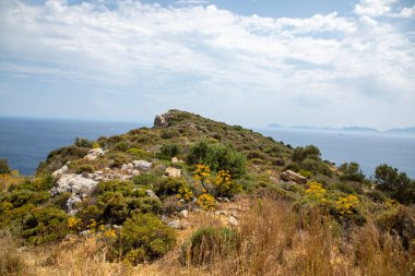 Deniz kıyısının güzel manzarası