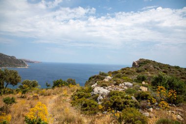 Deniz kıyısının güzel manzarası