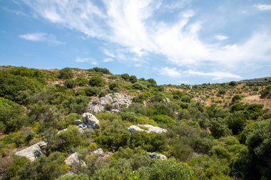 Dağlardaki manzara. Doğa.