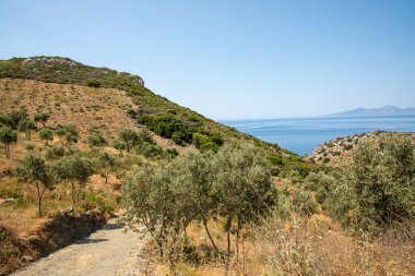 Ağacı ve mavi gökyüzü olan güzel bir manzara.