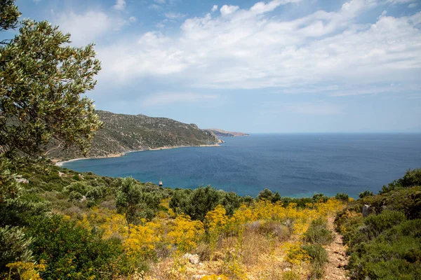 Blick Von Oben Auf Die Küste Des Mittelmeeres Kleine Olivenbäume — Stockfoto