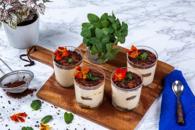 Hafif arka planda gözlüklü nefis ramisu.