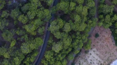 Çam ormanları arasında asfalt yol ve yolda giden beyaz araba. Drone arabayı takip ediyor. İHA 'yla üstten çekim. Kırsal alan.