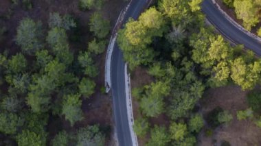 Çam ormanları arasında asfalt yol ve yolda giden beyaz araba. Takip sahnesi, İHA 'lar arabayı takip ediyor. İHA 'yla üstten çekim. Muhteşem zigzag yolu. Kırsal alan. 