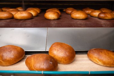 Fresh loaf of bread from the oven. Conveyor with bread. Workshop for production of bread. White bread in the oven.