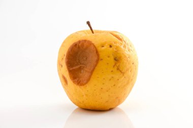 Beyaz arka planda büyük bir leke olan sarı bir çürük elmaya yakın plan..